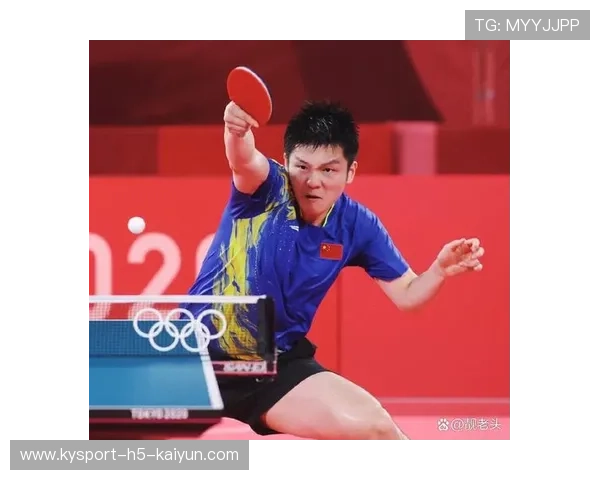 樊振东重回多球训练,节奏感依旧 樊振东重回多球训练,节奏感依旧